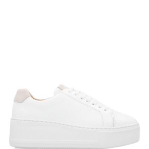 Daniel Footwear Verve White