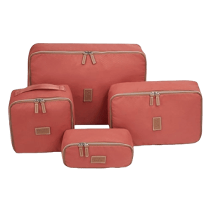 DELSEY Paris Chatelet Air 2.0 Packing Cubes Set of 4