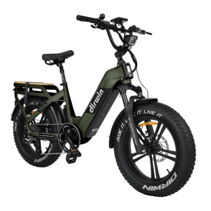 Dirwin Bikes Pioneer 2 Long Range Fat Tire Electric Bike