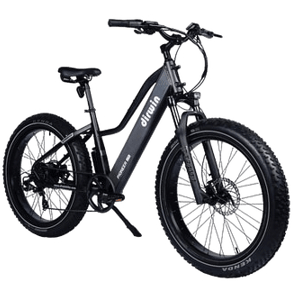 Dirwin Bikes Pioneer Lite Fat Tire Electric Bike