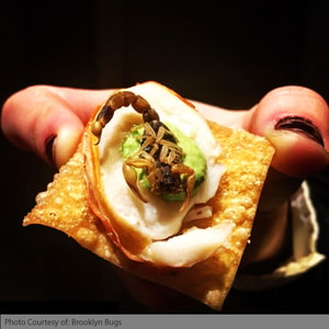 Edible Insects
