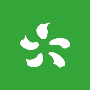 Edison Energia