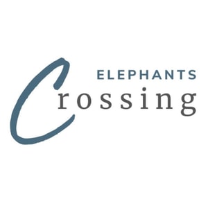 Elephants Crossing Lodges