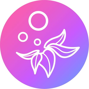 ElfBar