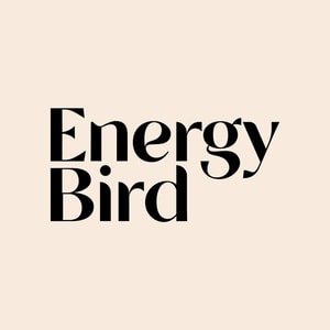 Energy Bird