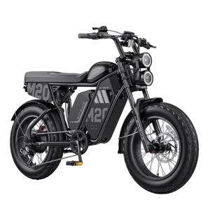 ENGWE M20 3.0