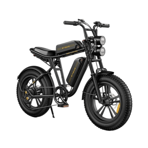 ENGWE M20