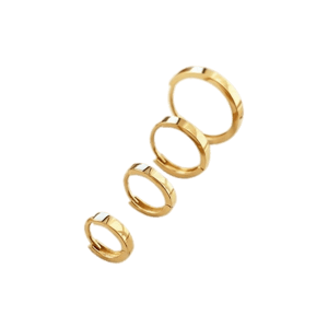 Evelyn Gold Jewels Stacking Huggie Earrings