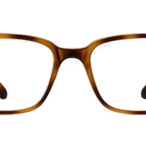 Eyebuydirect November Glasses