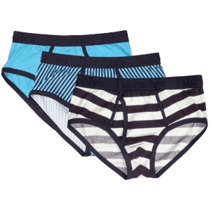 Fahrenheit Wayne Brief Bundle