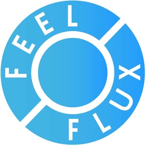 Feel Flux