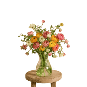 Ranunculus Burst