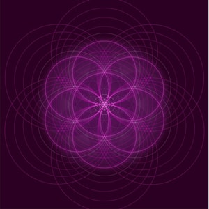Free Soul Holistic