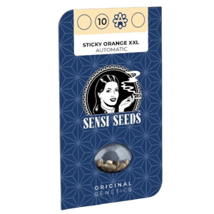 Sensi Seeds Sticky Orange XXL Autofloraison