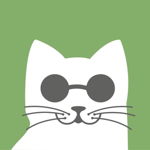 Gatto con Personalit&agrave;