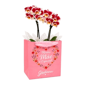 Giuliana Flores Mini Rara Mesclada