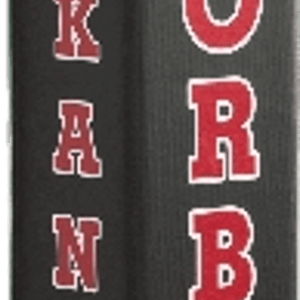 Goalsetter Arkansas Razorbacks Pole Pad
