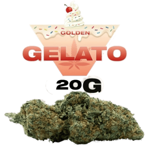 Golden CBD Gelato