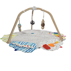 GoodBuy Gear Lovevery The Play Gym