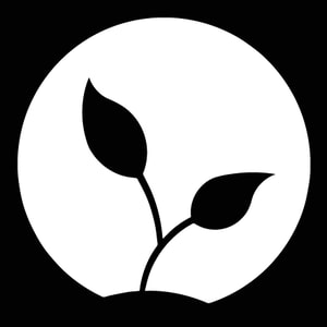 Grounded Foods Co