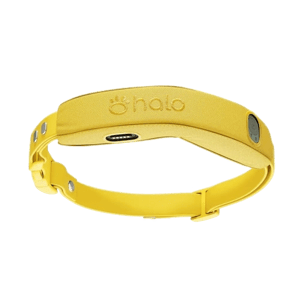 Halo Collar 5