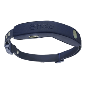 Halo Collar 4