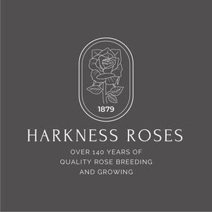 Harkness Roses