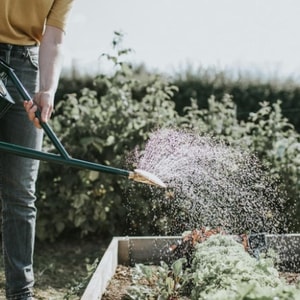 Haws Watering Cans