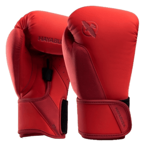 Hayabusa T360 Boxing Gloves
