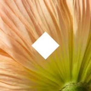 Herbivore Botanicals