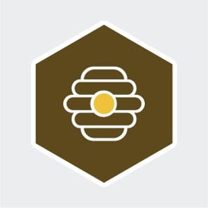 HIVE
