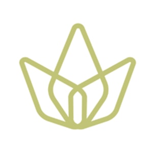 HOLISTIK Wellness