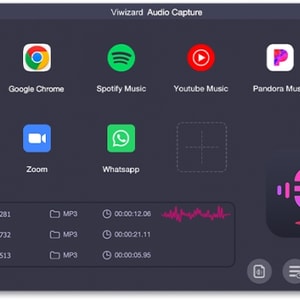 ViWizard