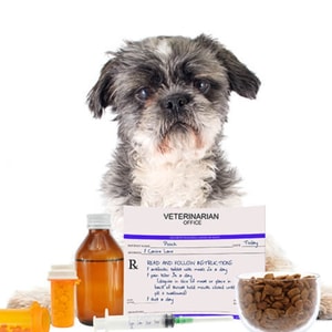 Pet Pharm Canada