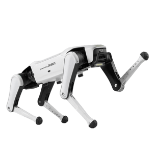 INFFNI Rover X1