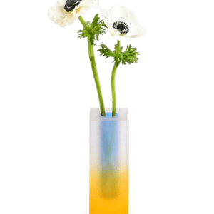 INSPECIAL HOME Iridescence Vase