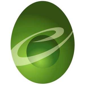 IQ-Strategy