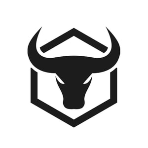 Iron Bull Strength