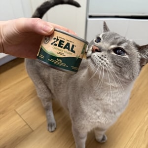 ZEAL Pet Food