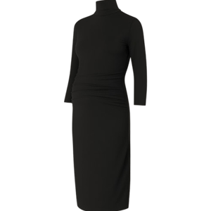Isabella Oliver Grayson Maternity Dress