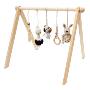 Jabaloo Baby Activity Gym