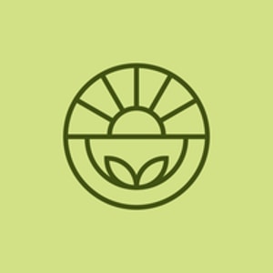 Joy of Matcha