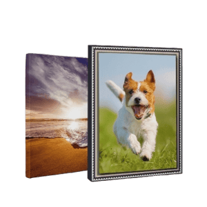 JustCanvasIt Canvas Prints