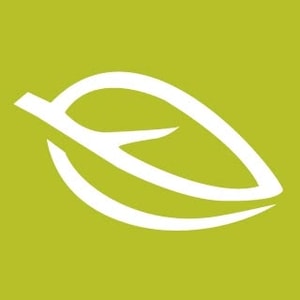 La Saponaria