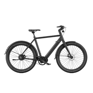 Lekker Bikes Amsterdam GTS eBike