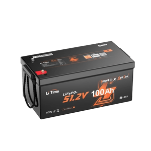 LiTime 48V 100Ah GC Smart Bluetooth Low-Temp