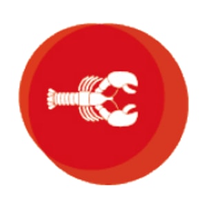 Lobsterking