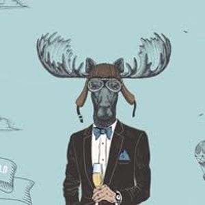 Loose Moose