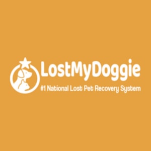 Lost My Doggie