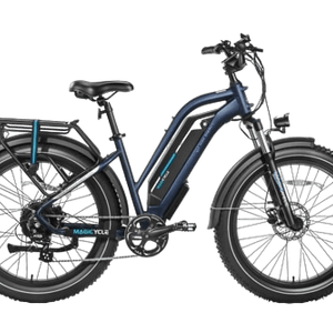 Magicycle Cruiser Pro